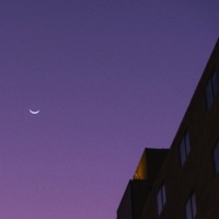 into dusk - Single - Lenny Loops & little blue