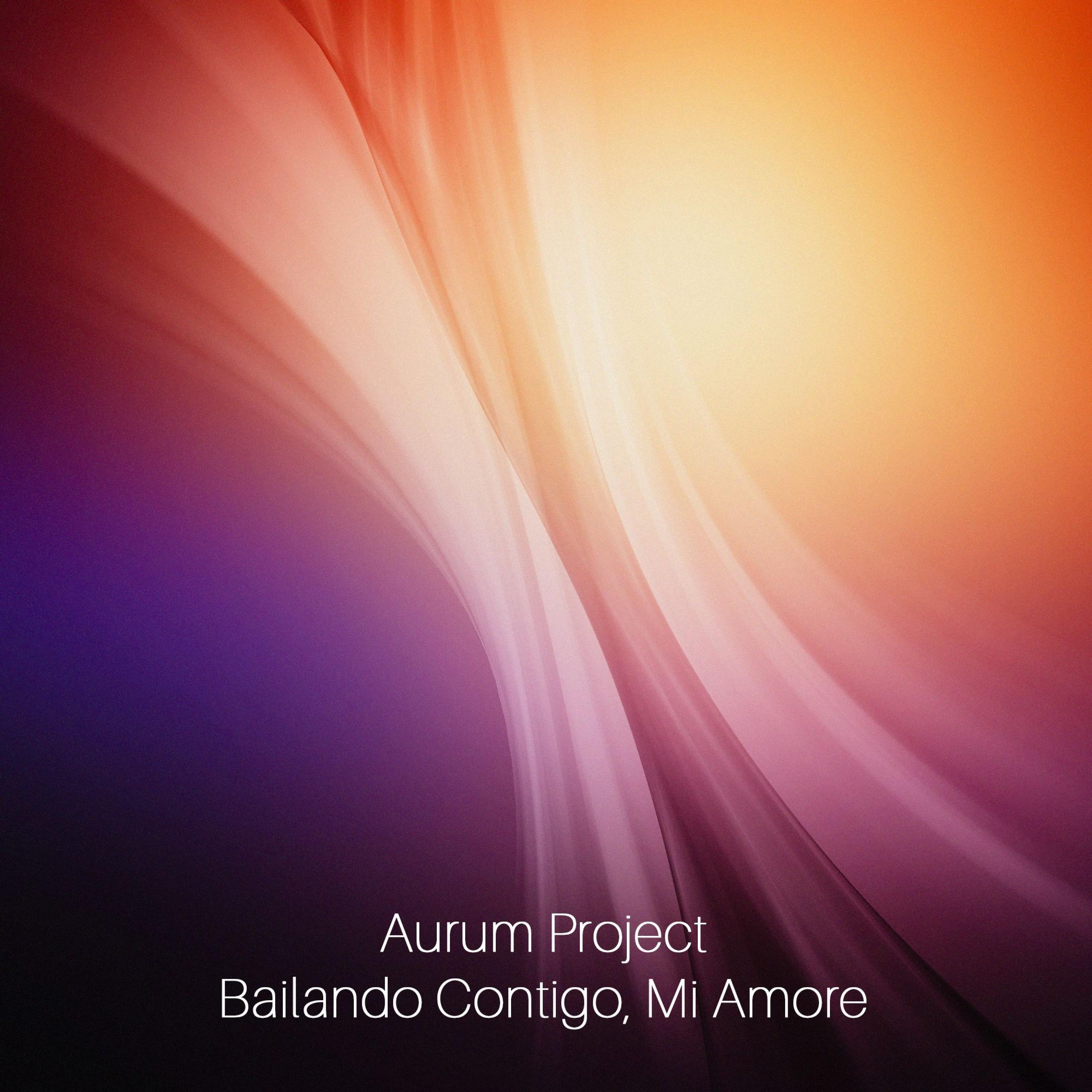 Bailando Contigo, Mi Amore - Single