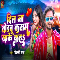 Dil Na Torbu Kasam Khake Kah - Single - Vicky Raj
