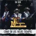 Caballo De Patas Blancas