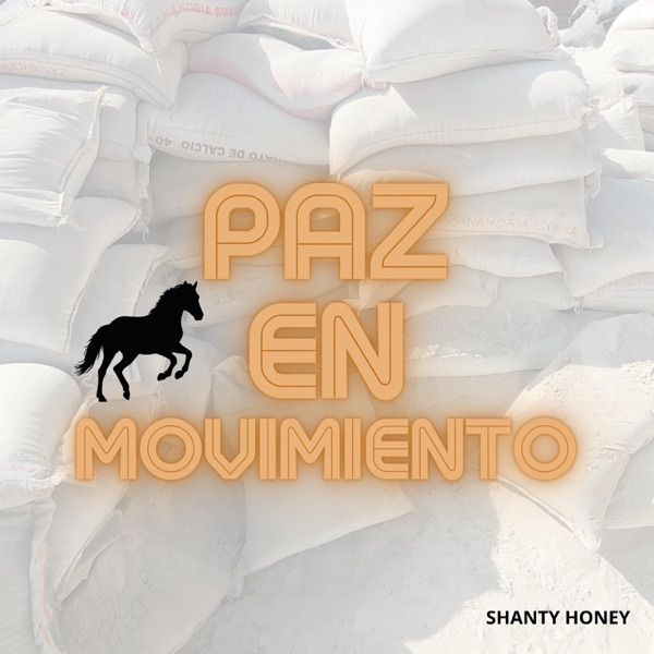 PAZ EN MOVIMIENTO