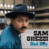 Loose Lips - Sam Ghezzi