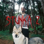 Stunka2 artwork