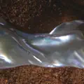 Membranes