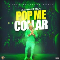 Pop Me Collar - Single - Elephant Man & Kemar McGregor