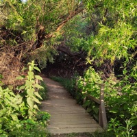 This way - Single - SLEEPY_NYQUIL