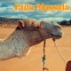 Fado Massala feat Cuca Roseta Mahesh Vinayakram Single