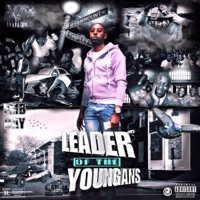 Leader of da younganz - Fmb Dayy