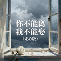 你不能离我不能娶 (走心版) - EP - 烟嗓船长