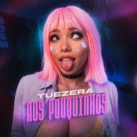 Aos Pouquinhos (feat. Mc Luanna & Mc da 12) - Single - Tuezera