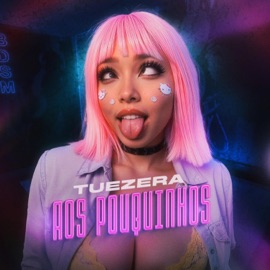 Aos Pouquinhos (feat. Mc Luanna & Mc da 12) Tuezera