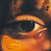 WANT ME (feat. Brevin Kim) - Single - Andrew Narvaez