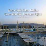 Sana Aşık Olan Kullar Gece Gündür Durmaz Ağlar - HypnationEX