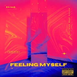 Feeling Myself $3riou$