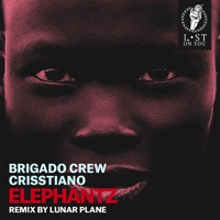 Brigado Crew & Crisstiano - Burning (feat. Haptic)
