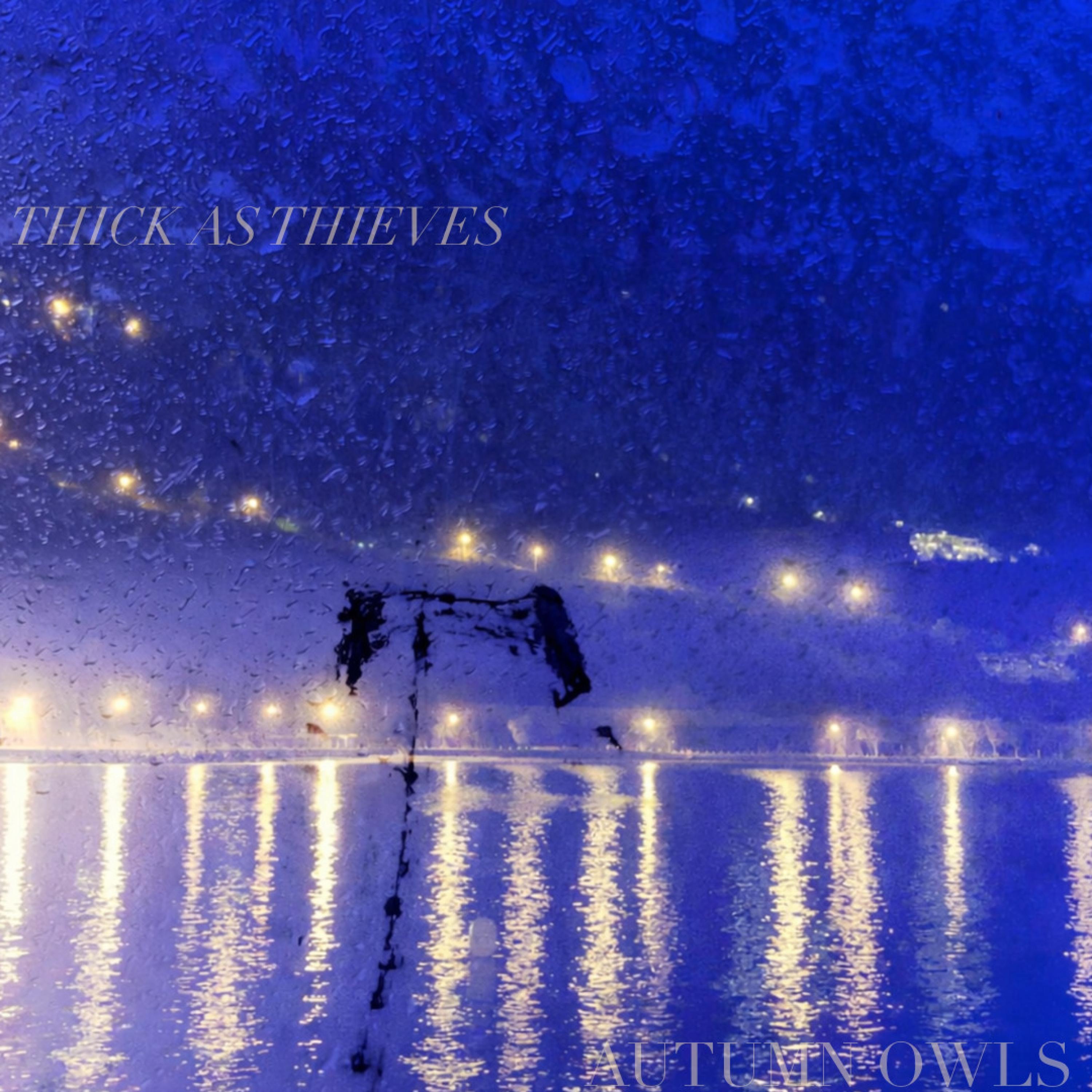Autumn Owls - Thick As Thieves (2)