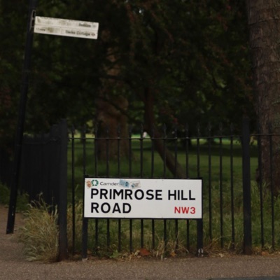 primrose hill - Single