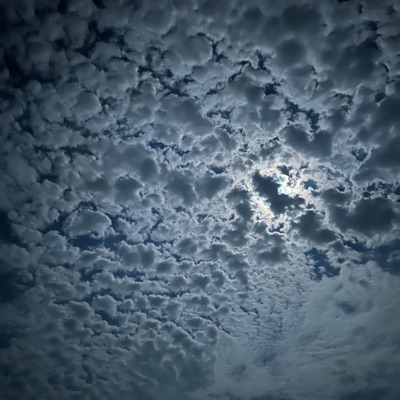 Instantanea - Single