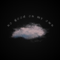 No Good On My Own (The Bowser Edition) - Single - Jayko The ARkiTekk