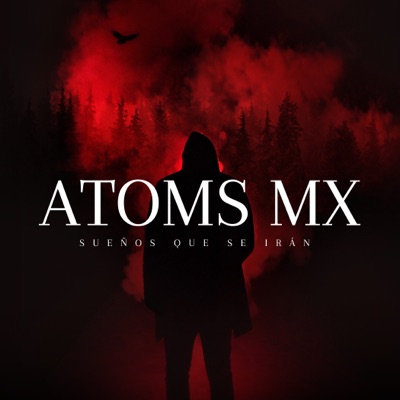 Sueños Que Se Irán - Single