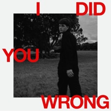 I Did You Wrong