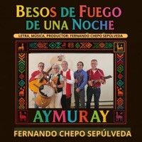 Besos De Fuego De Una Noche (feat. Fernando Chepo Sepúlveda) - Single - Aymuray