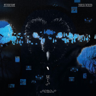 AÉREA ERIGIRÉ MIS SERES