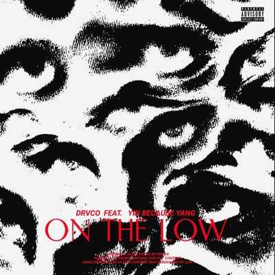 ON THE LOW (feat. YIN BECAUSE YANG) - Single
