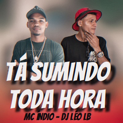 Ta Sumindo Toda Hora - Single