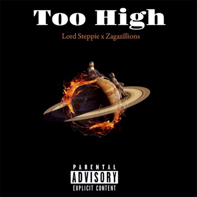 Too High (feat. Zagazillions) - Single