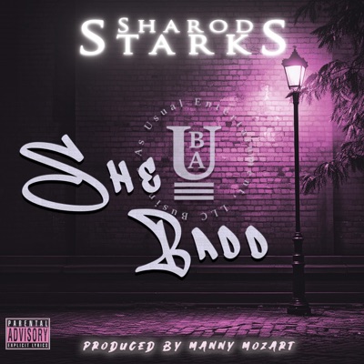 She Badd - Single