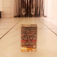 House in The Woods (demo) - Single - Thomas Geelens