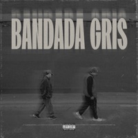 Bandada Gris - Single - M.P.H. & PROBLEMA$