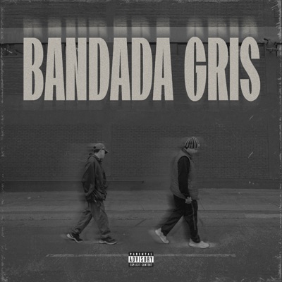 Bandada Gris - Single