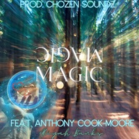 Magic (feat. Anthony Cook-Moore) - Single - Atiyah Banks & Joshua Sanders
