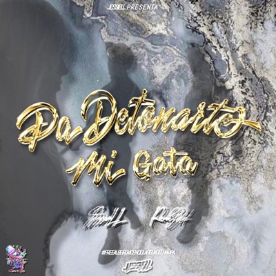 PA DETONARTE MI GATA - Single