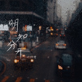 明知分开 (Dj豪大大版伴奏) 叶梓晴