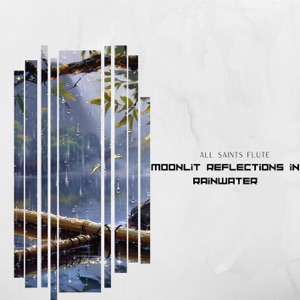 Moonlit Reflections in Rainwater: Mystical Flute Tunes Blending with Night's Crystal Tears