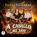 EL GALLINERO
