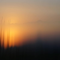 summer whisper - Single - marine eyes