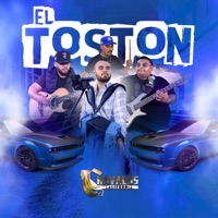 EL TOSTON - Single - Los Chavalos de California