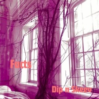 Facts (feat. Skeev) - Single - Dipper