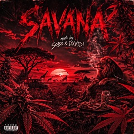 SAVANA (feat. dxvid!) sobo