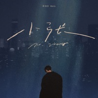 小张 (你说) - Single - 薛如音