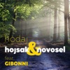 Hodaj (feat. Gibonni)