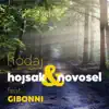 Hodaj (feat. Gibonni)