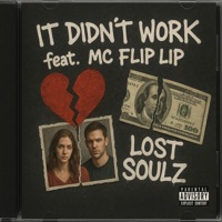 It Didn't Work (feat. SiNa, Mygz & MC Flip Lip) - Single - Lost Soulz