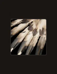 Dengarkan Maria Gaia, tonton video musik, baca bio, lihat tanggal tur & lainnya!