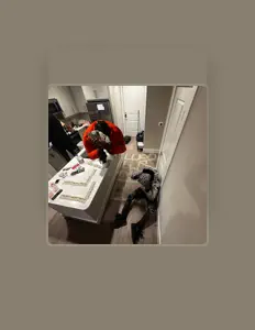 Ακούστε περιεχόμενο από Freeband, παρακολουθήστε μουσικά βίντεο, διαβάστε το βιογραφικό, δείτε ημερομηνίες περιοδείας, και πολλά ακόμη!