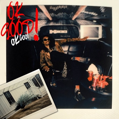 OK GOOD OK COOL (TWEAKMIX) - Single